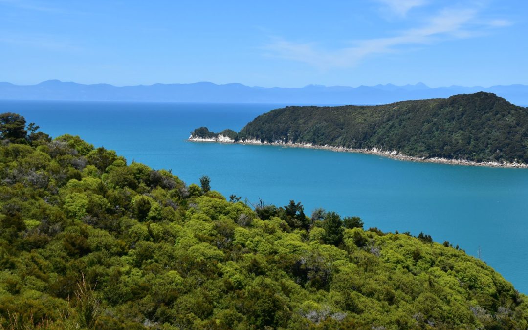 De Abel Tasman à Wellington