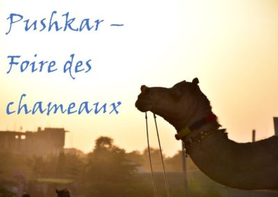 Inde – deuxième partie – Pushkar