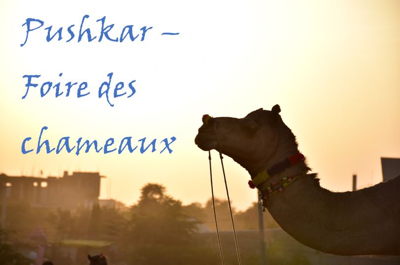 Inde – deuxième partie – Pushkar