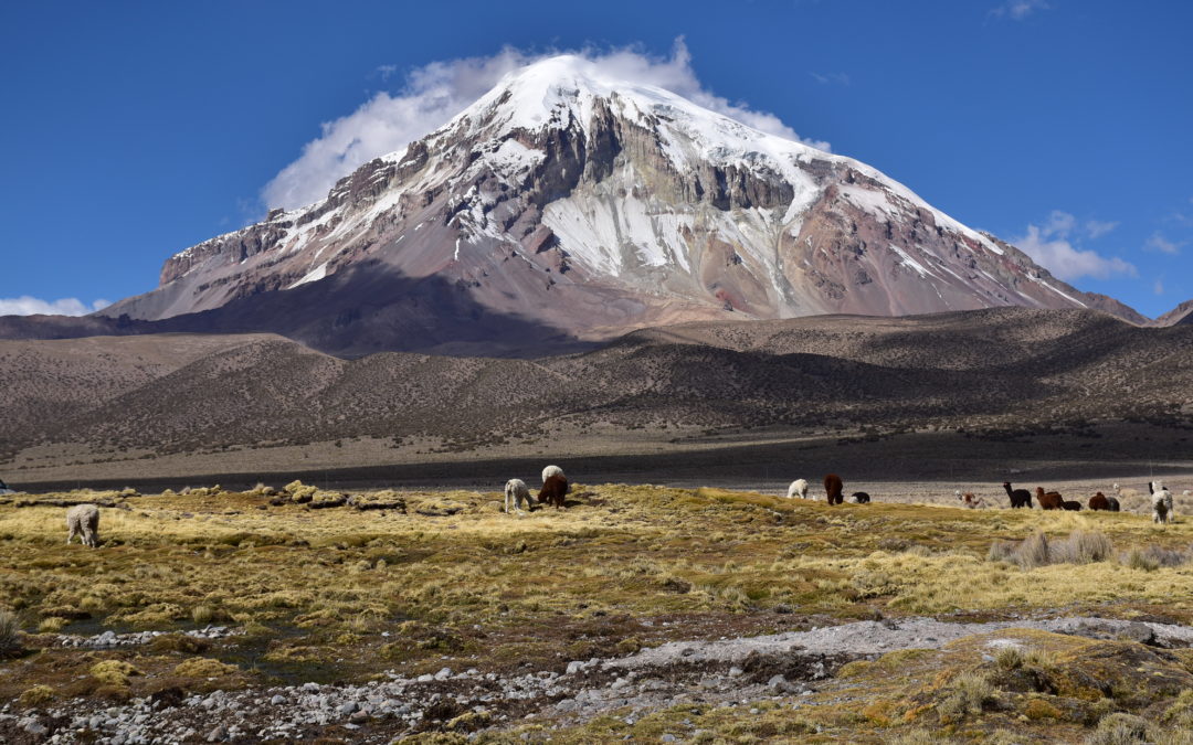 Parc national du Sajama